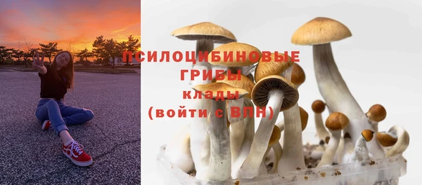 прущий лед Медногорск