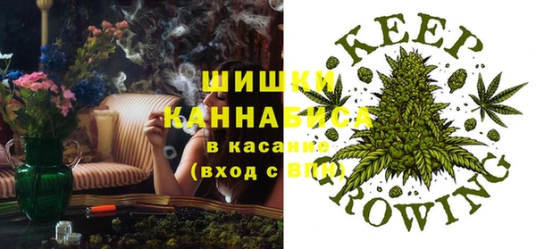 стаф Медвежьегорск