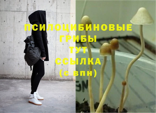 метадон Нестеровская