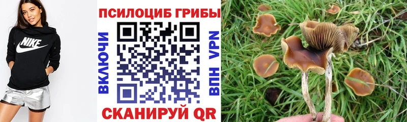 Галлюциногенные грибы ЛСД Михайловка